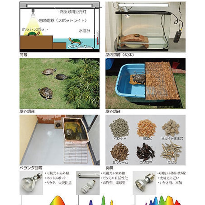 カメさま専用 Amazon | Zehaiwl カメ用水槽 大きい カメ 水槽 亀の水槽 40CM