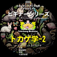 エキゾチックアニマルビデオセミナー：ビギナーシリーズ：トカゲ学-2