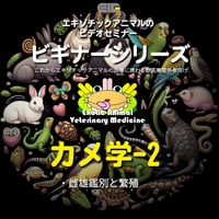 エキゾチックアニマルビデオセミナー：ビギナーシリーズ：カメ学-2