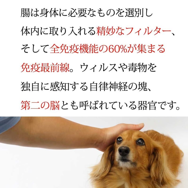 初回限定！お試し・送料一部負担】大高酵素植物発酵エキス