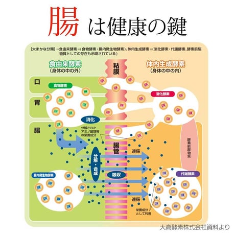 【ポスト投函】大高酵素発酵野菜パウダー「フリカケワン」 400g入り袋（1回1袋まで）