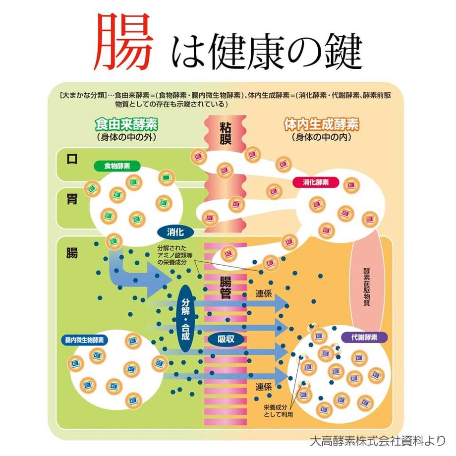 58b67f9600d331982f000fb4