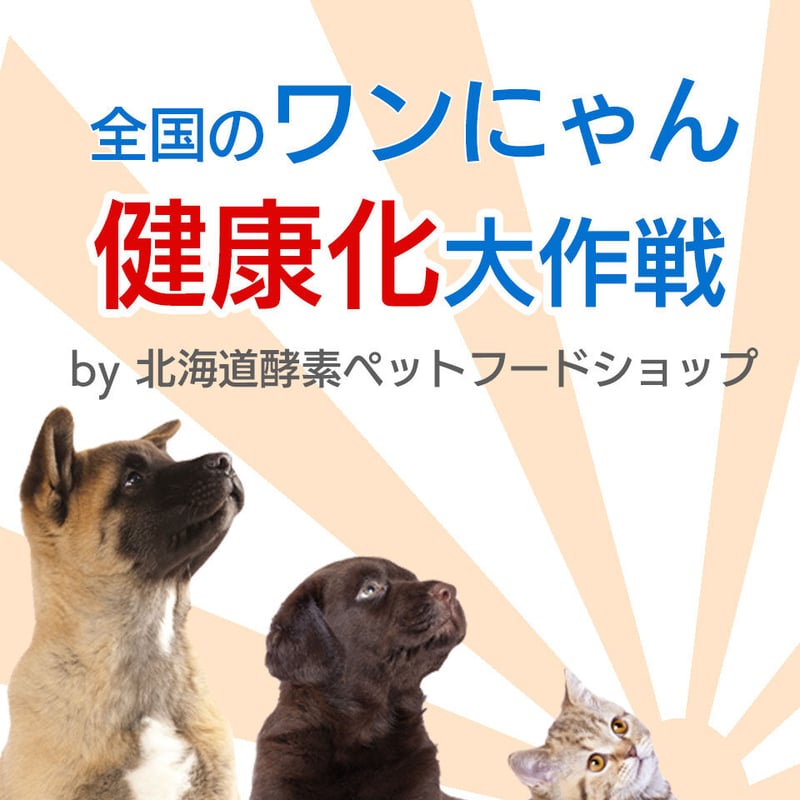 送料無料！初回限定お試し】大高酵素発酵野菜パウダー「フリカケワン