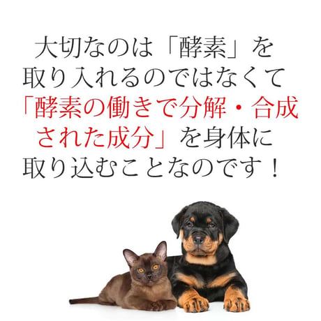 【初回限定！お試し・送料一部負担】大高酵素植物発酵エキス「スーパーワンにゃん」100ml x 1本と発酵野菜パウダー「フリカケワン」100g袋 x 1袋セット