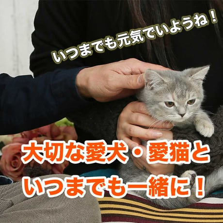 大高酵素植物発酵エキス「スーパーワンにゃん」100ml x 1本から5本