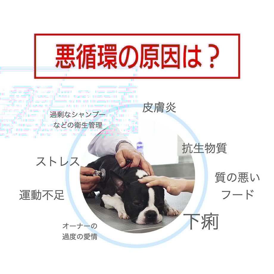 58b67f9600d331982f000fb4