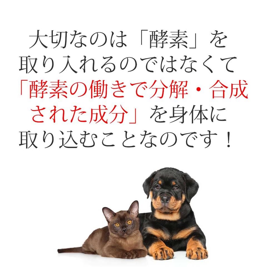 58b67f9600d331982f000fb4