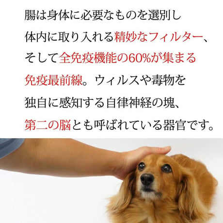 【ポスト投函】大高酵素発酵野菜パウダー「フリカケワン」 400g入り袋（1回1袋まで）