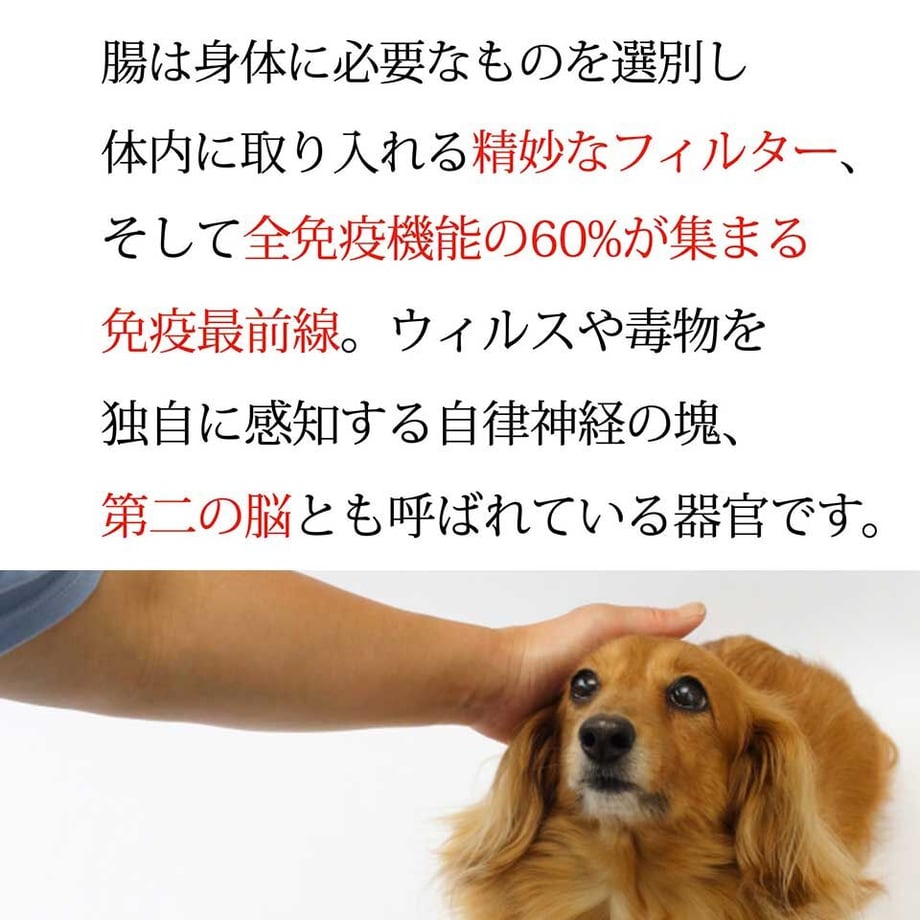 58b67f9600d331982f000fb4