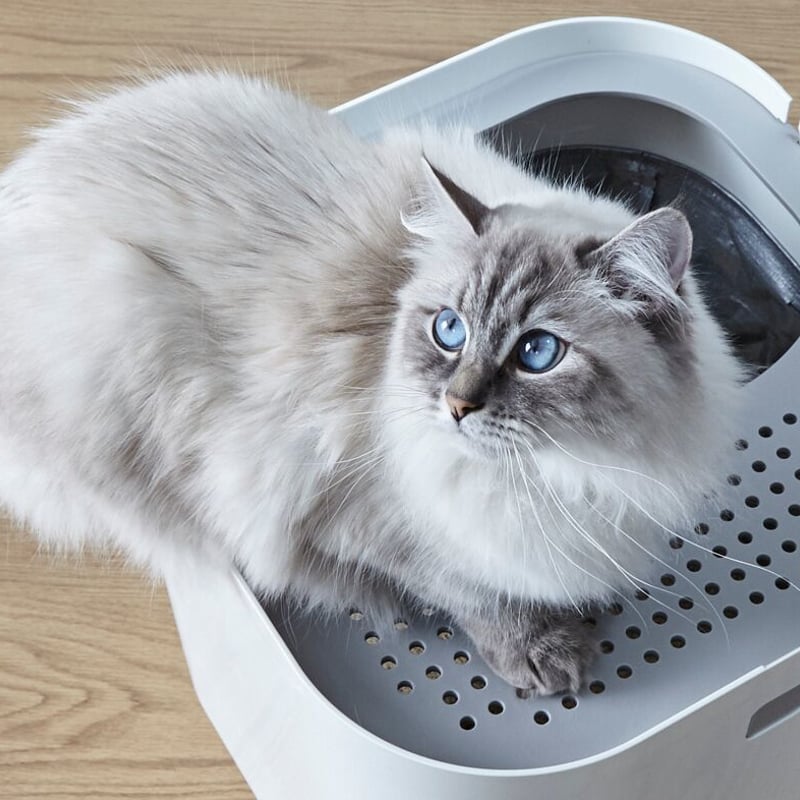 モデキャットリターボックス（Modkat Litter Box） | フェローエヴォル