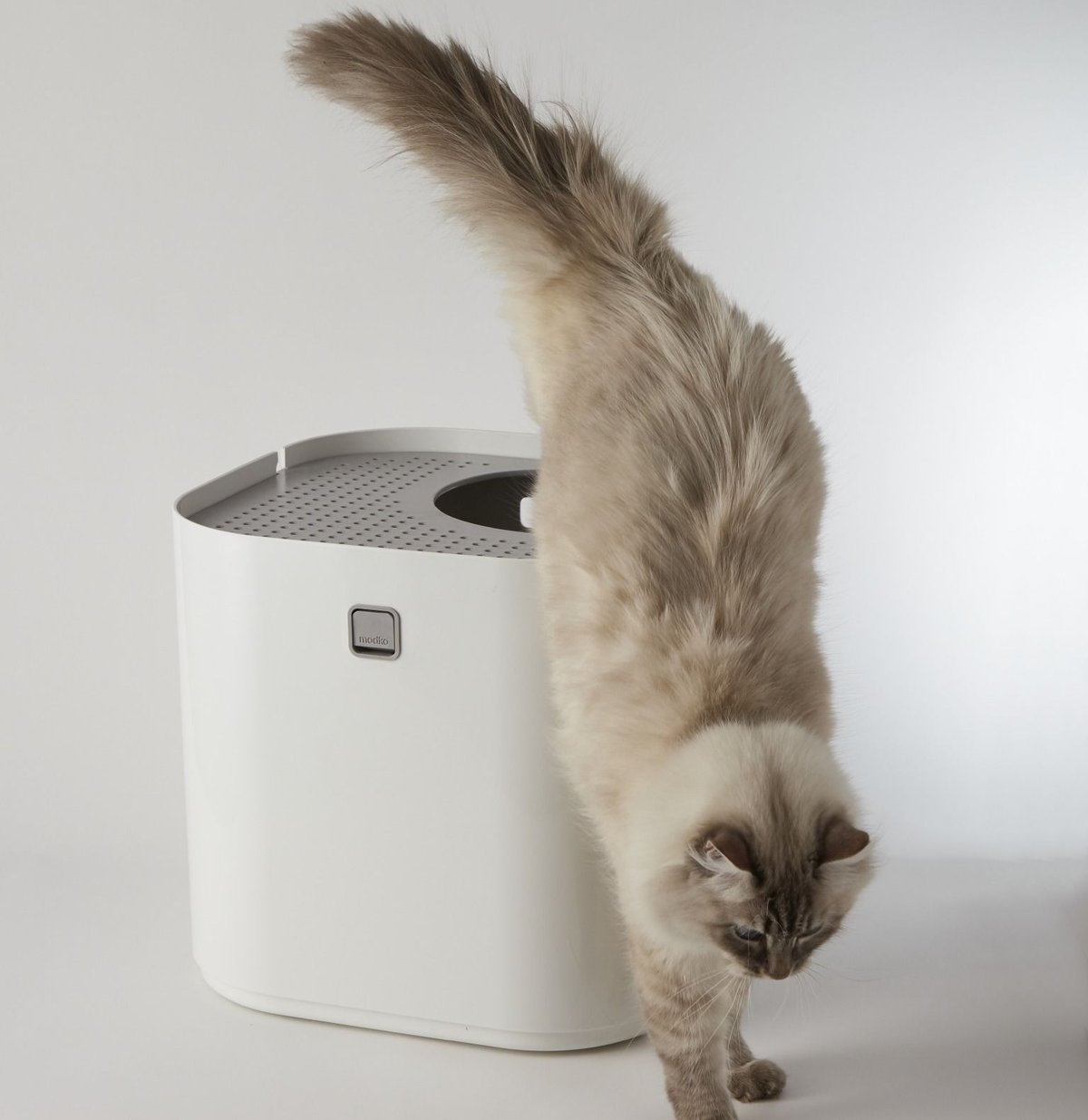 モデキャットリターボックス（Modkat Litter Box） | フェローエヴォル