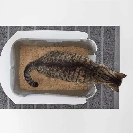 モデキャットリタートレイ(Modkat Litter Tley) 全2カラー