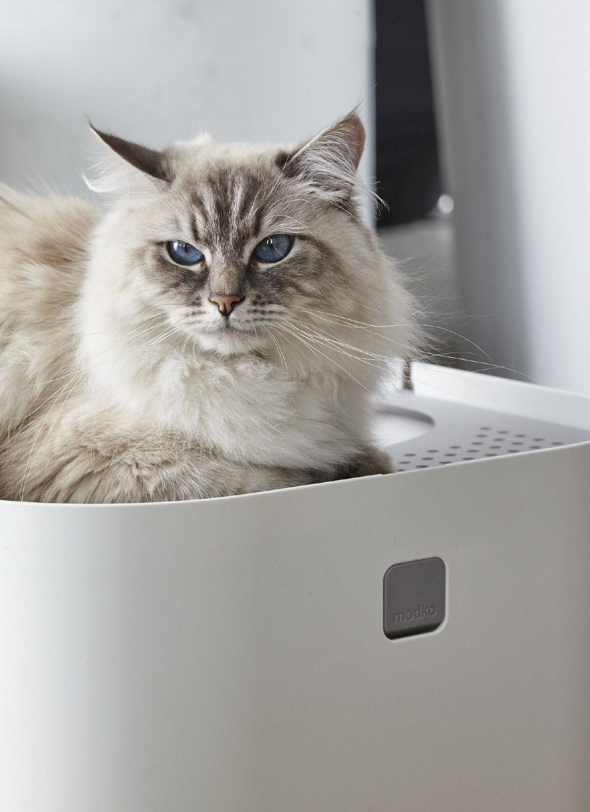 モデキャットリターボックス（Modkat Litter Box） | フェローエヴォル