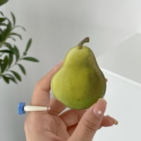 梨 グリップ   折り畳み式 フルーツナシ  スマホリング  スタンド機能付き 可愛い  全機種対応M1200