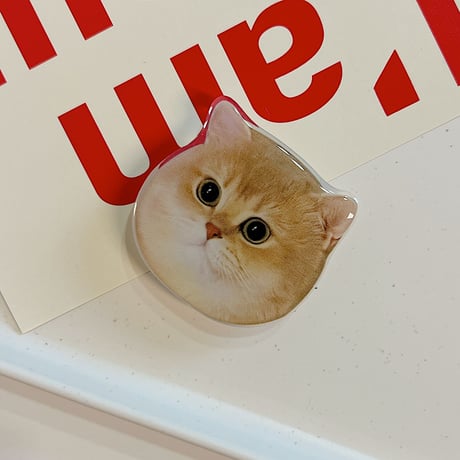 可愛い動物 スマホグリップ 全機種対応 折り畳み式グリップトーク 卓上スタンド機能付き 粘着タイプ[M2918]