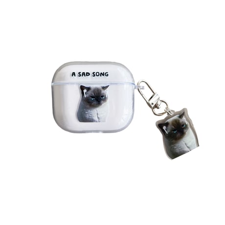 音楽を聴く猫  Airpods Pro2ケース   SAD SONG  airpods3カバー  可愛いアクセサリー付き かわいい  頑丈 ギフトにおすすめ [M2512]