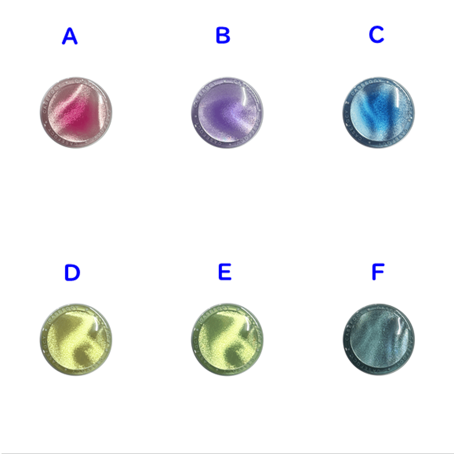6673e62d434b95011f9b7efd