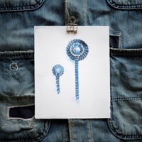 ロゼット（ＤＥＮＩＭ）セット
