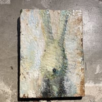 兎も小さな壁