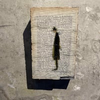 聖書の重さ