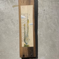 小さな小さな兎