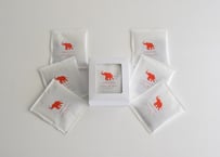 DIP STYLE COFFEE / 浅煎りエチオピア 6袋入【7/9(木)発送】