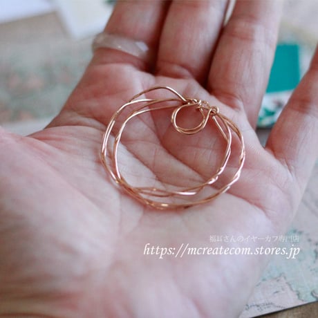 (ローズ１４KGF)　Autumn hoop