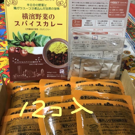 [環境に配慮したゴミ減量商品] 横濱野菜のスパイスカレー200g 12個 ご自宅用