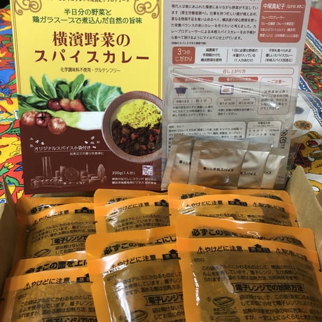 [環境に配慮したゴミ減量商品] 横濱野菜のスパイスカレー200g 6個 ご自宅用