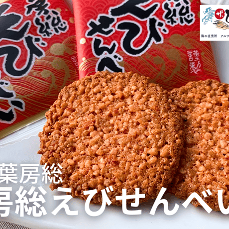送込）トランティタン様用　活伊勢エビ５キロの組み合わせ（和歌山県産） イセエビ | STORES
