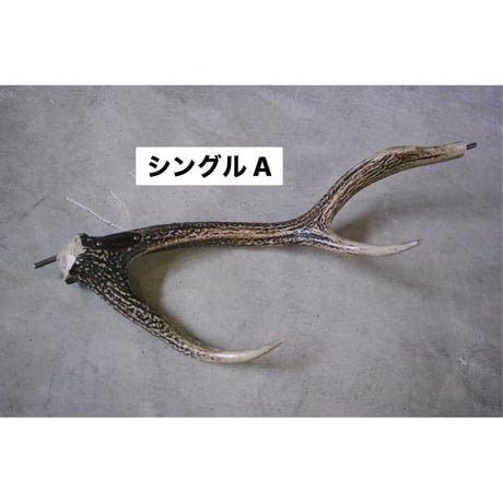 DEER HORN SMITH'S × AFRO CAMP, カーミットバー