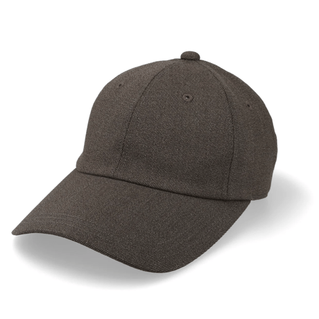 is-ness,SFE 6 PANEL CAP | Purveyors