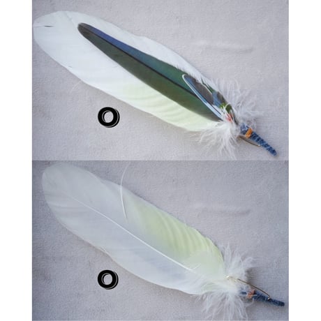 She Dances on Water, Unique and individual Feather Hat Pin