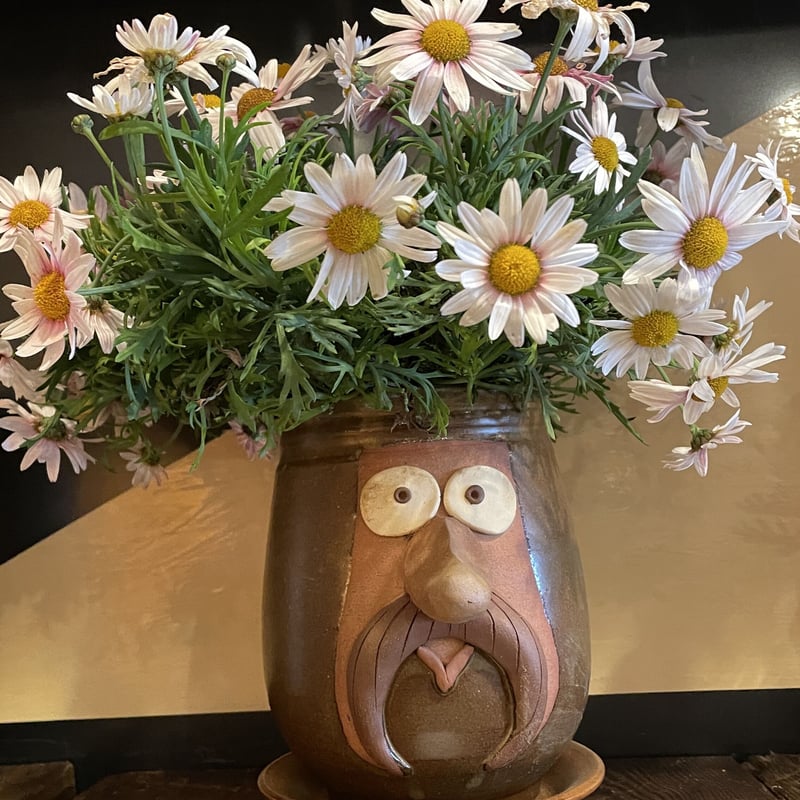 BROWN by 2-tacs, Funny face pot | Purveyors