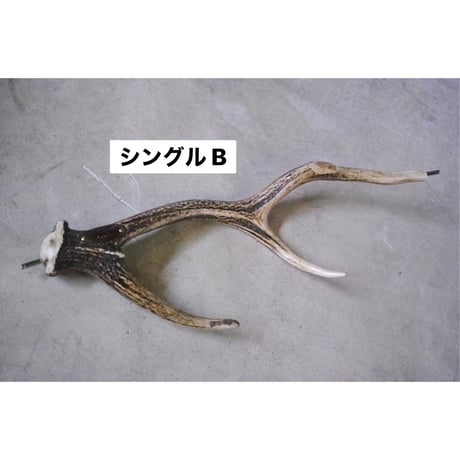 DEER HORN SMITH'S × AFRO CAMP, カーミットバー