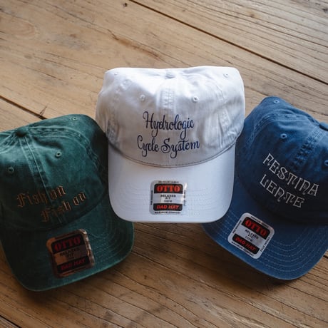 South2 West8,Strap Back Cap