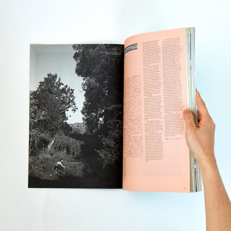 Subsequence Magazine Vol.3 | Purveyors