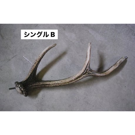 DEER HORN SMITH'S × AFRO CAMP, カーミットバー