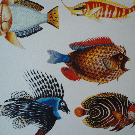 AlexanderLeeChang, draw and collage 25(Woodworks)
