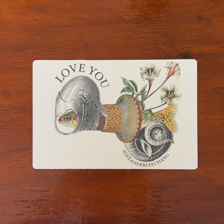 AlexanderLeeChang, D&C 5 SET POSTCARDS