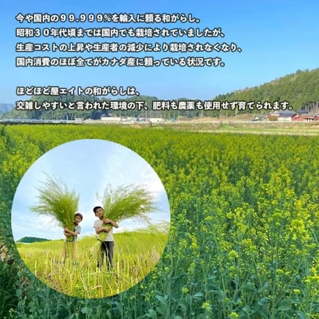 ほどほど屋エイト, 和がらし