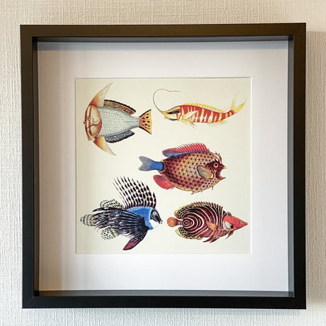 AlexanderLeeChang, ALC Draw & Collage 25