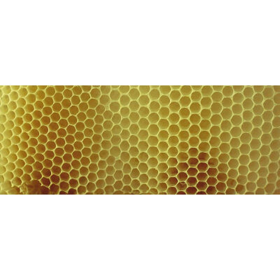 63998fd66b87c32261551abb