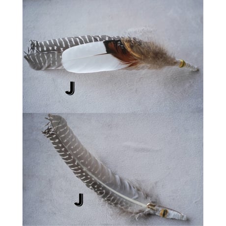 She Dances on Water, Unique and individual Feather Hat Pin