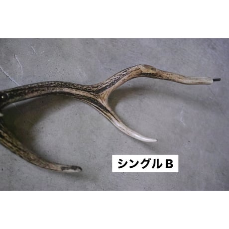 DEER HORN SMITH'S × AFRO CAMP, カーミットバー