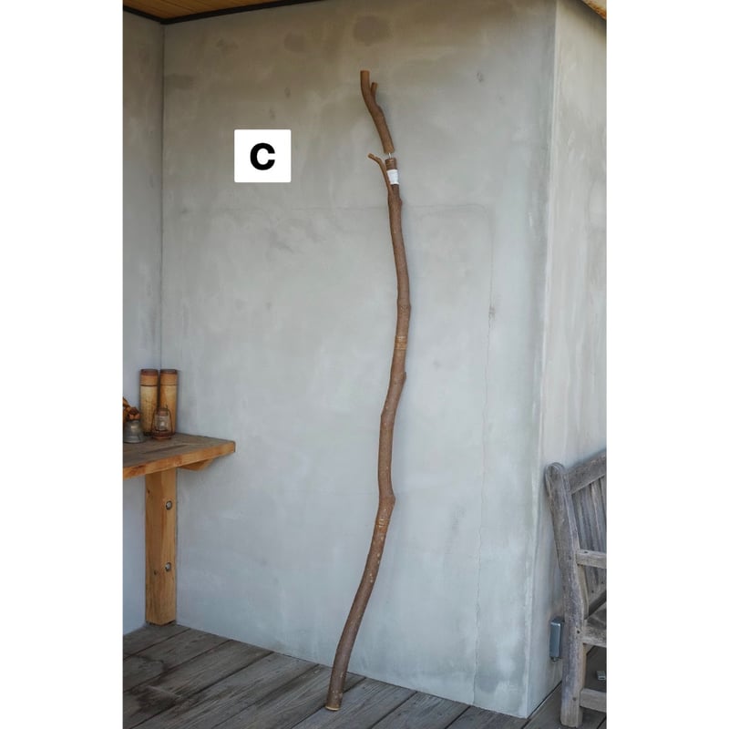 ENTOHOポール　（エントホタープポール） ENTOHOポール | Purveyors