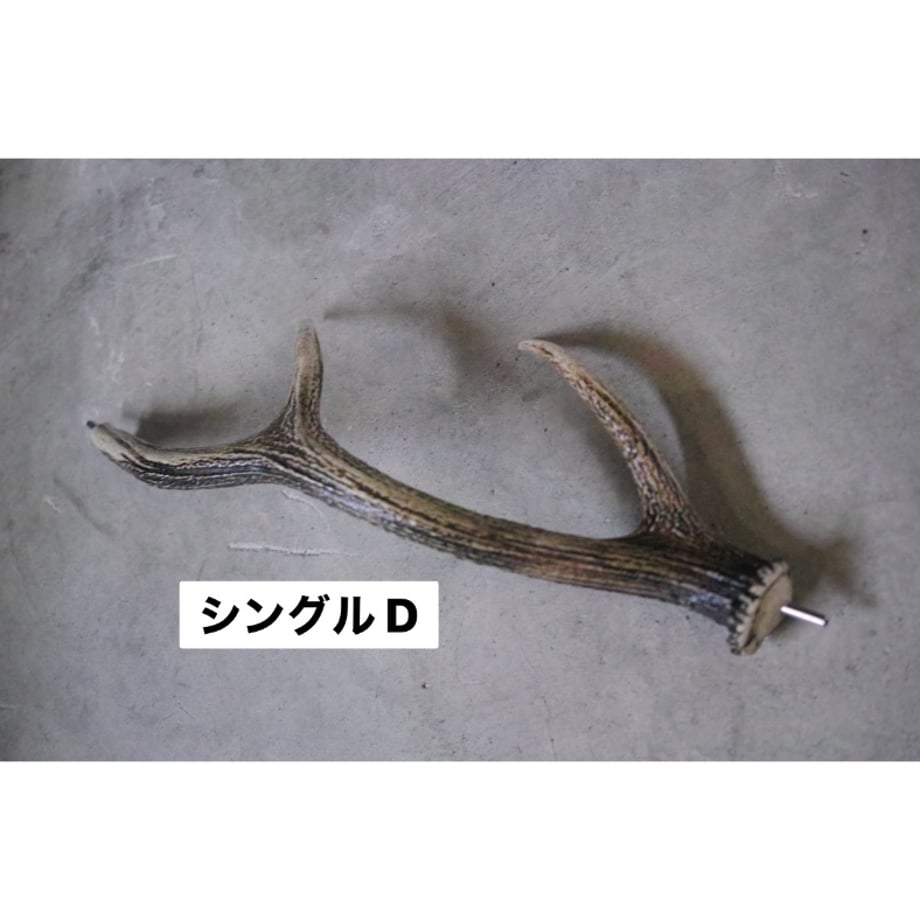 65e007473ffe3e0001c17ab5