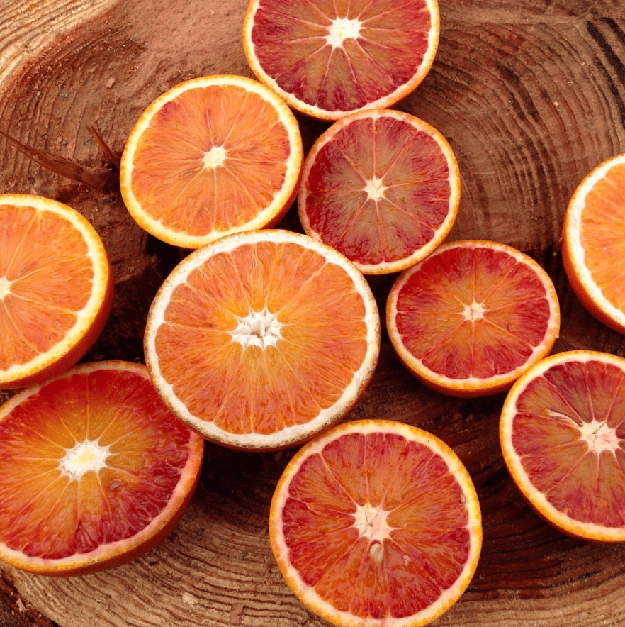 GOOD MORNING FARM, ブラッドオレンジシロップ煮 | Purveyors