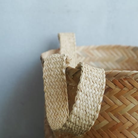 INCAUSA, Carrying Basket by Kayapo