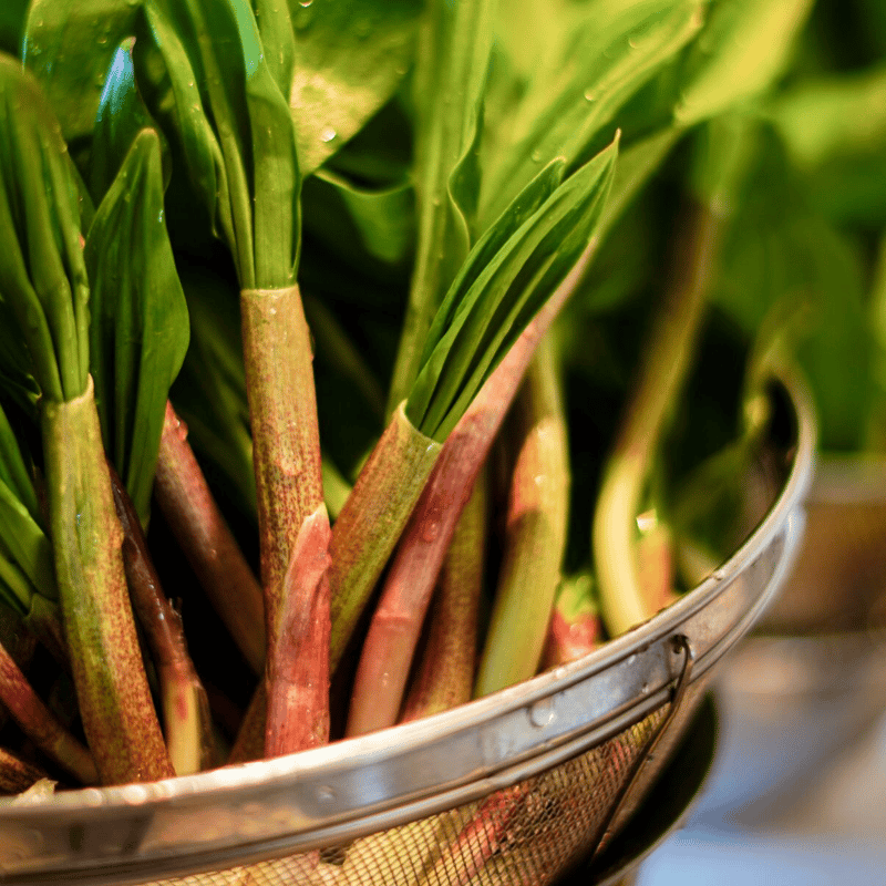 堀山楽商店, EZO pesto70g 行者にんにくペースト | Purveyors